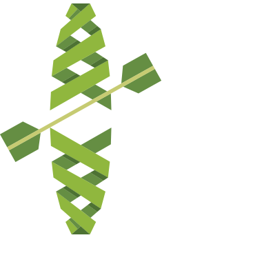 Malabar River Festival 2024